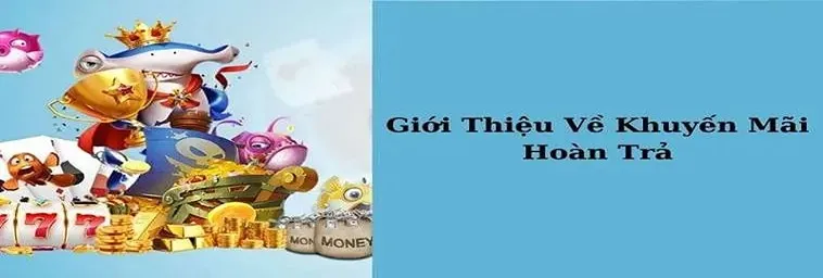 Khám Phá Chương Trình Hoàn Trả Không Giới Hạn Tại LD789 2 Khám Phá Chương Trình Hoàn Trả Không Giới Hạn Tại LD789