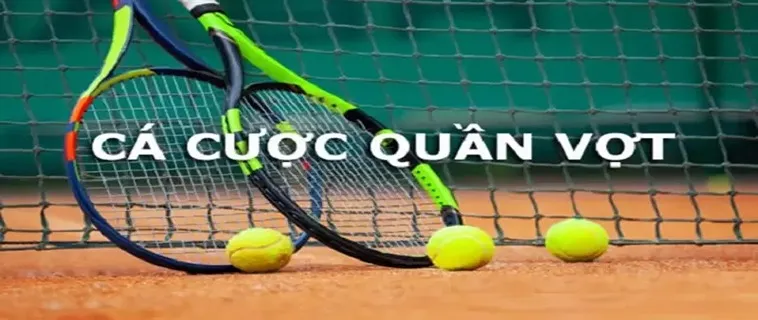 Tìm Hiểu Quần Vợt LD789: Hướng Dẫn Và Kinh Nghiệm Cá Cược 2 Tìm Hiểu Quần Vợt LD789: Hướng Dẫn Và Kinh Nghiệm Cá Cược